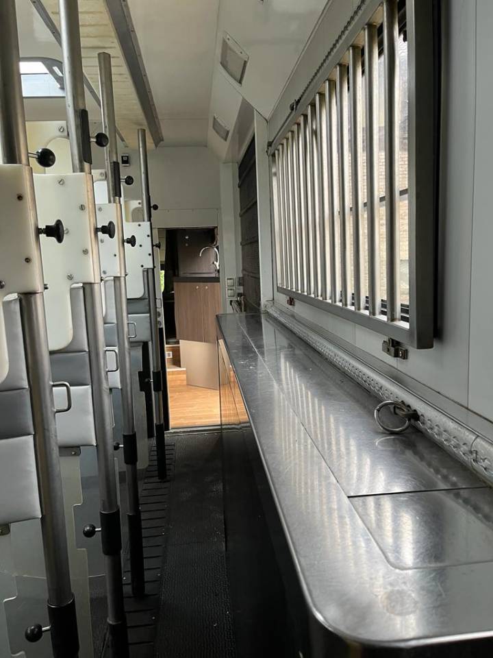 Cami&oacute;n para caballos Scania P380 2009 De segunda mano