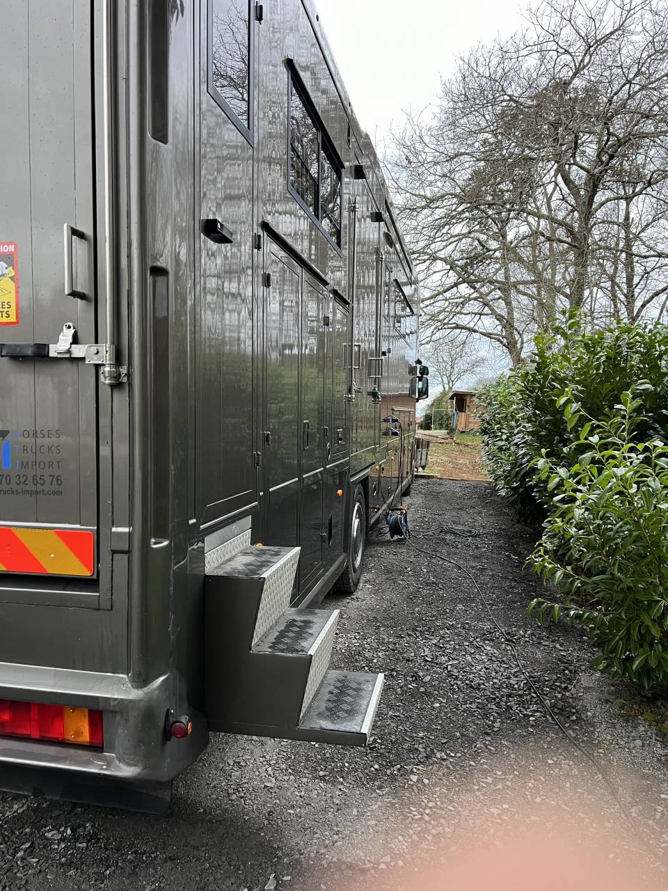 Cami&oacute;n para caballos Scania P380 2009 De segunda mano