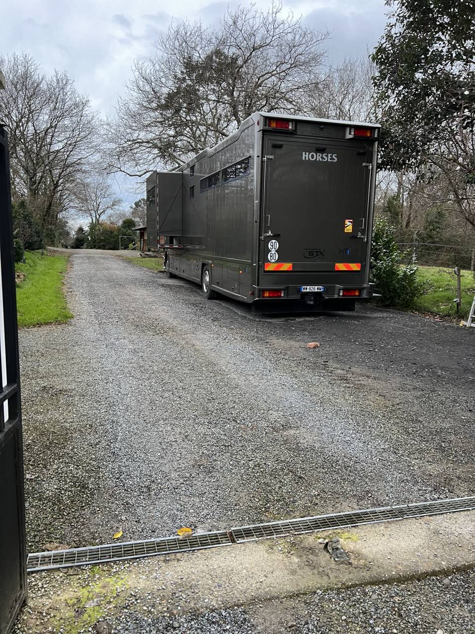 Cami&oacute;n para caballos Scania P380 2009 De segunda mano