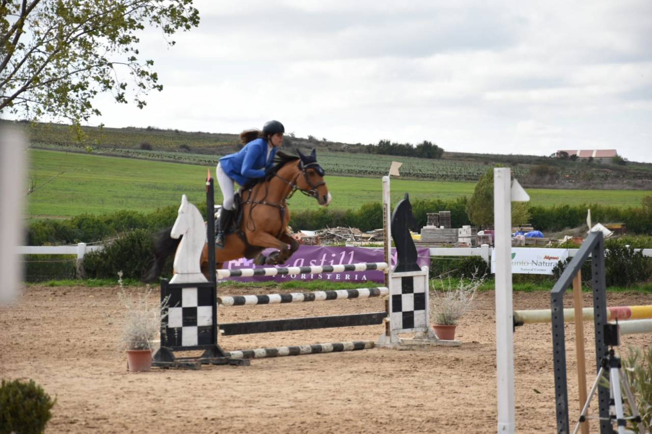 Venta de pony D de Salto