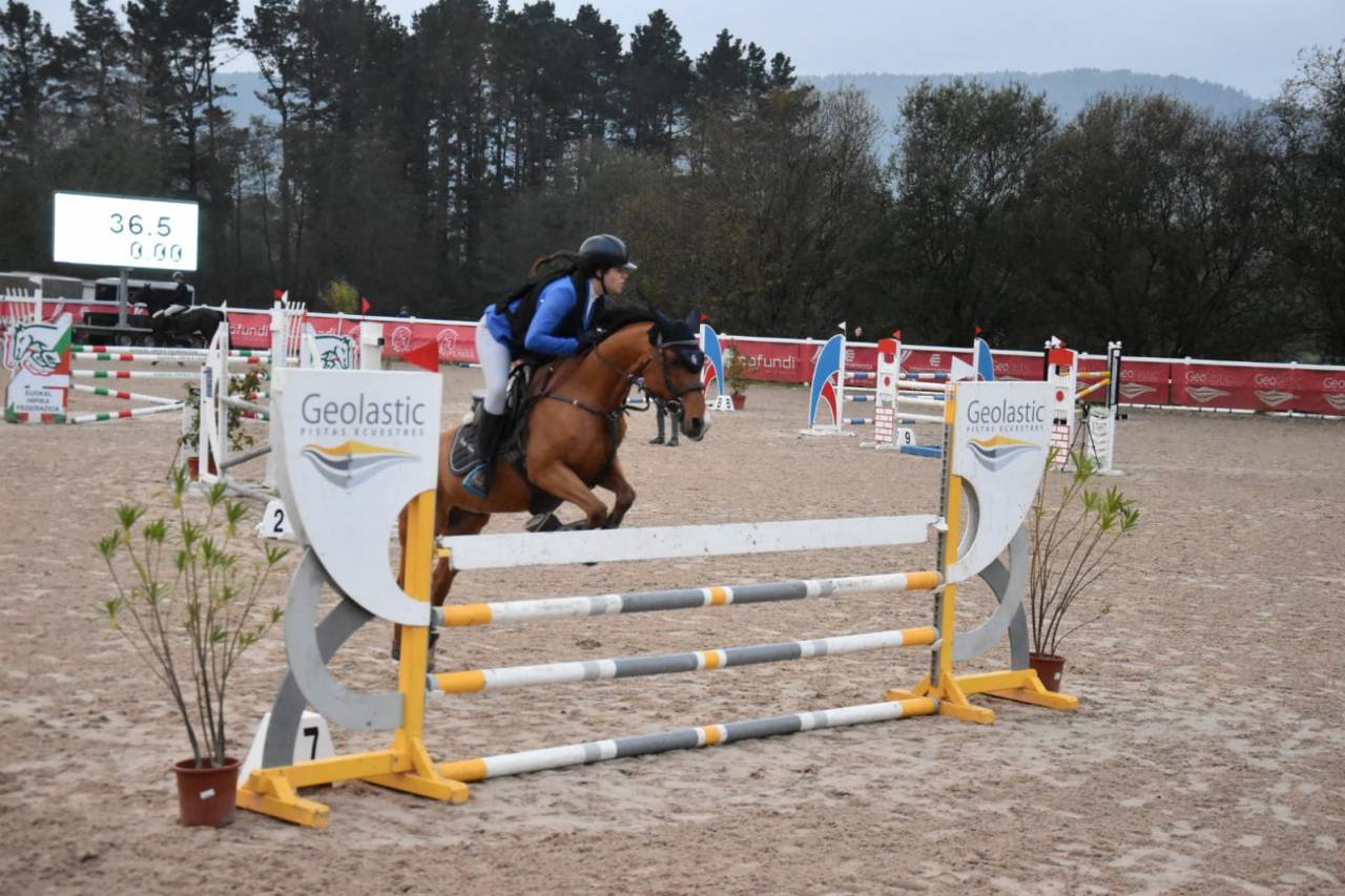 Venta de pony D de Salto