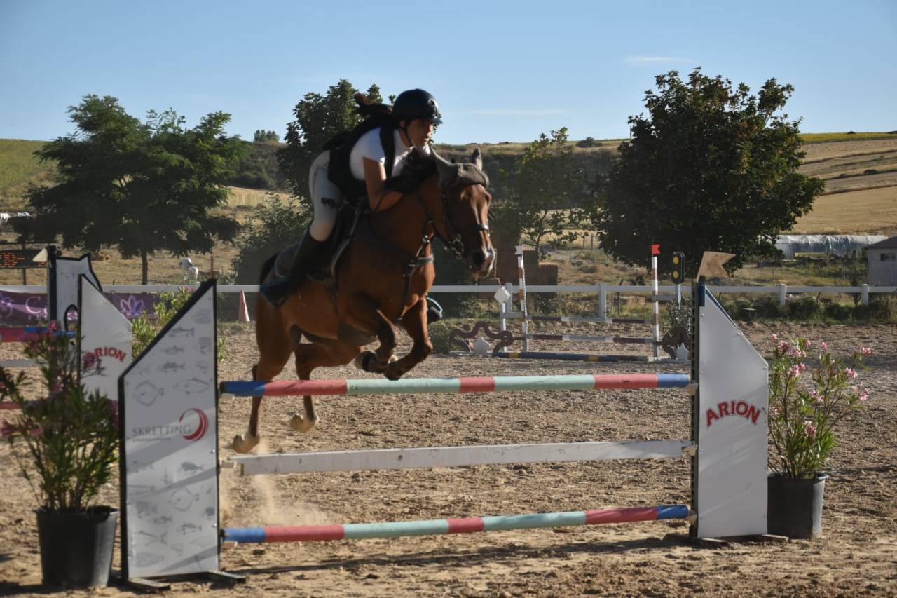 Venta de pony D de Salto