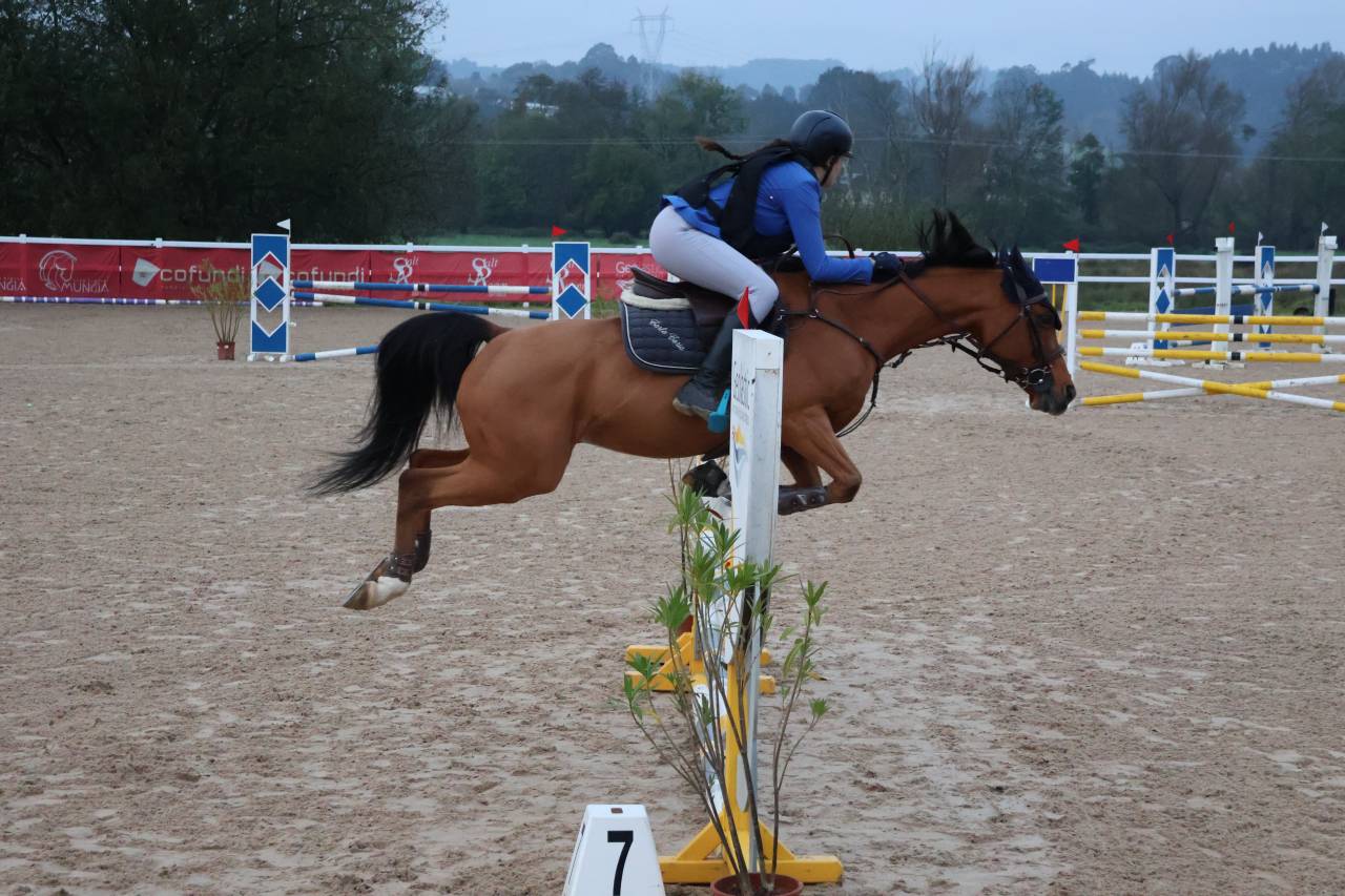 Venta de pony D de Salto