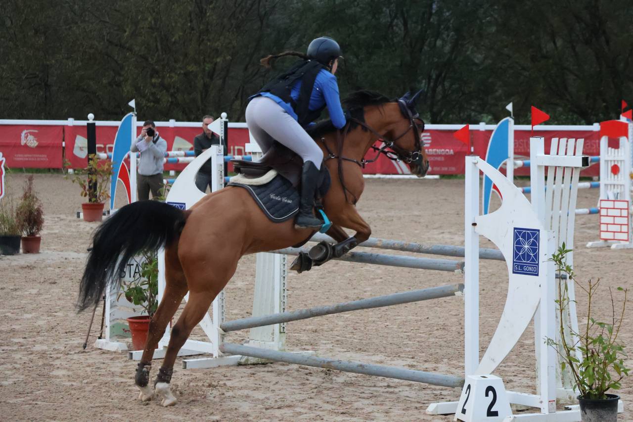 Venta de pony D de Salto