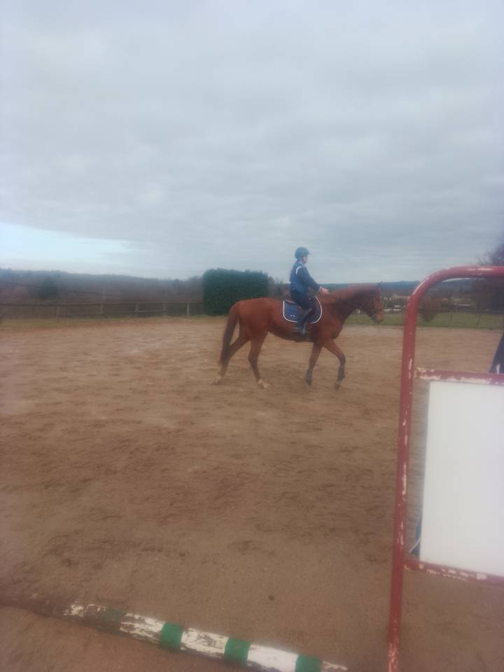 Yegua Origine Constat&eacute;e En venta 2022 Alaz&aacute;n