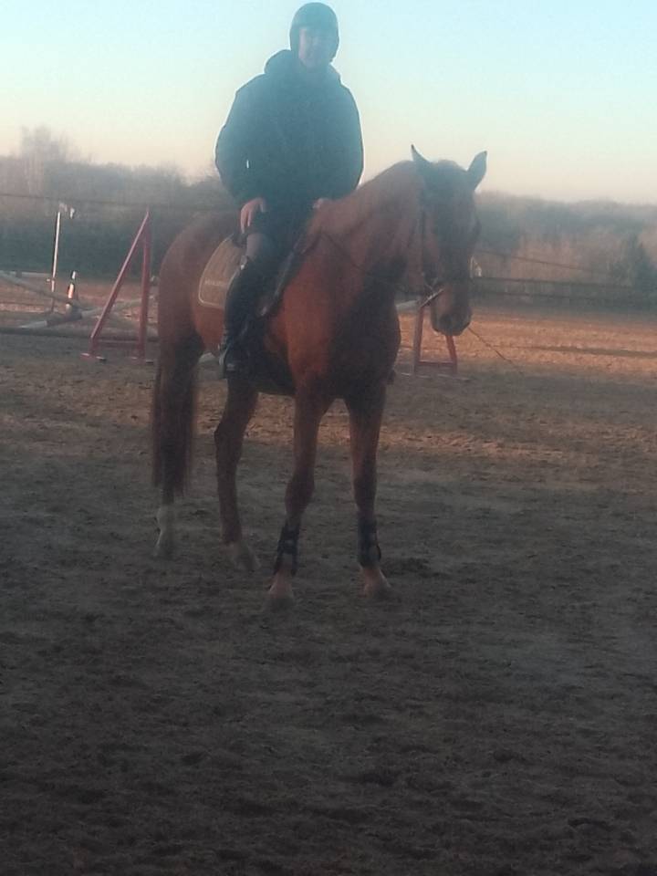 Yegua Origine Constat&eacute;e En venta 2022 Alaz&aacute;n