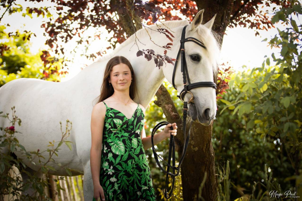 Yegua Lusitano En venta 2014 Tordo