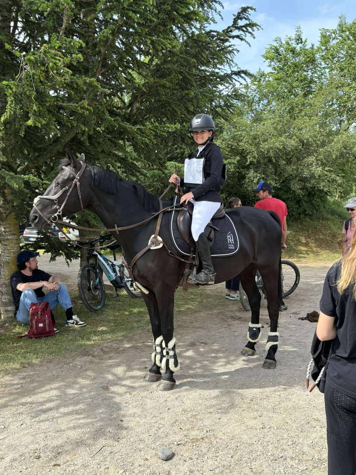 Caballo castrado PFS Poni Fran&ccedil;&eacute;s de Silla En venta 2011 Negro por HILKENS BLACK DELIGHT