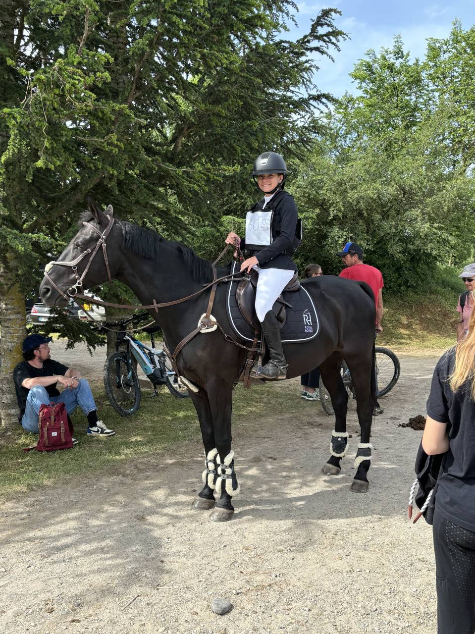 Caballo castrado PFS Poni Fran&ccedil;&eacute;s de Silla En venta 2011 Negro por HILKENS BLACK DELIGHT