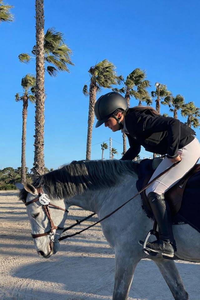 Caballo entero Silla Franc&eacute;s En venta 2017 Tordo por DIAMANT DE SEMILLY