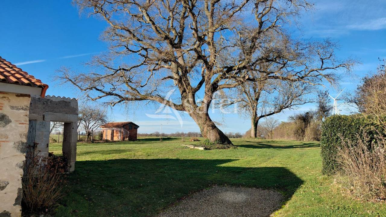 Explotaci&oacute;n agr&iacute;cola En venta Vienne