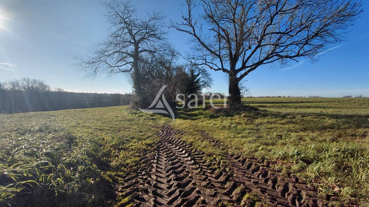 Explotaci&oacute;n agr&iacute;cola En venta Vienne