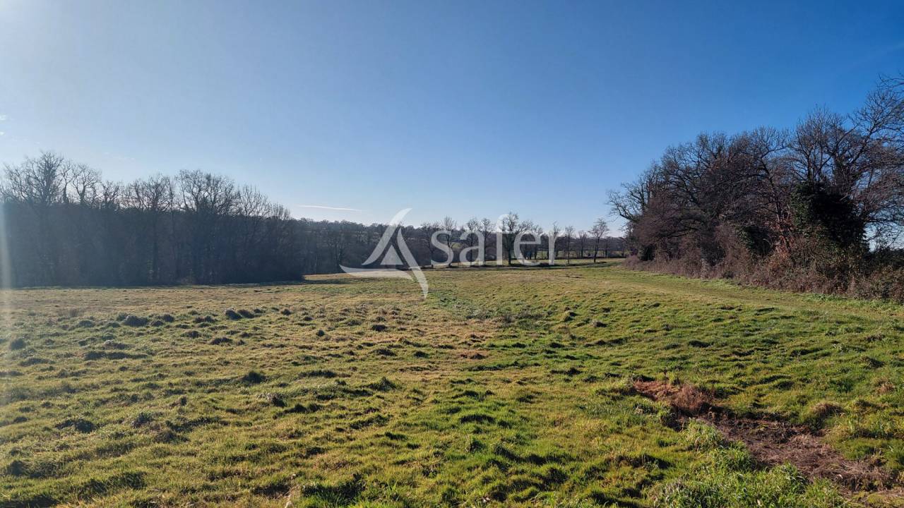 Explotaci&oacute;n agr&iacute;cola En venta Vienne