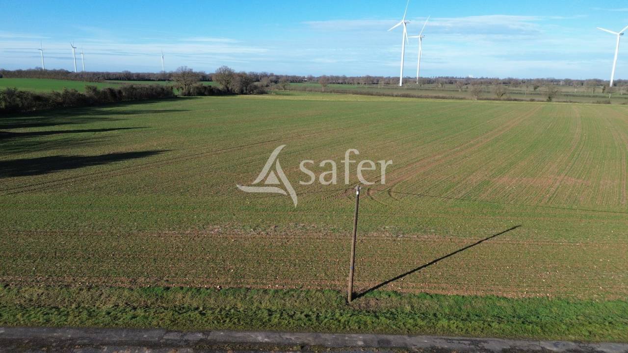 Explotaci&oacute;n agr&iacute;cola En venta Vienne