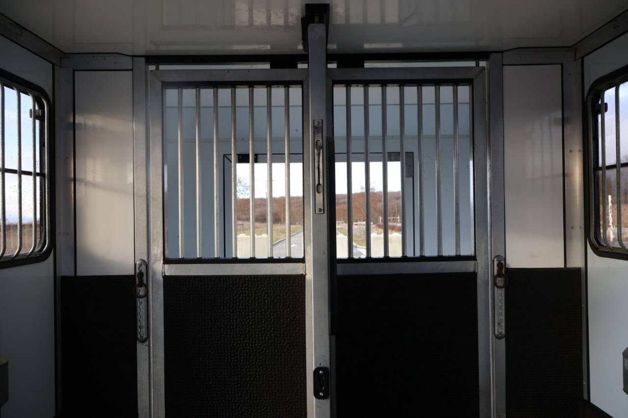 Furgoneta para caballos Cavalcar MASTER CAVALCAR 2022 De segunda mano