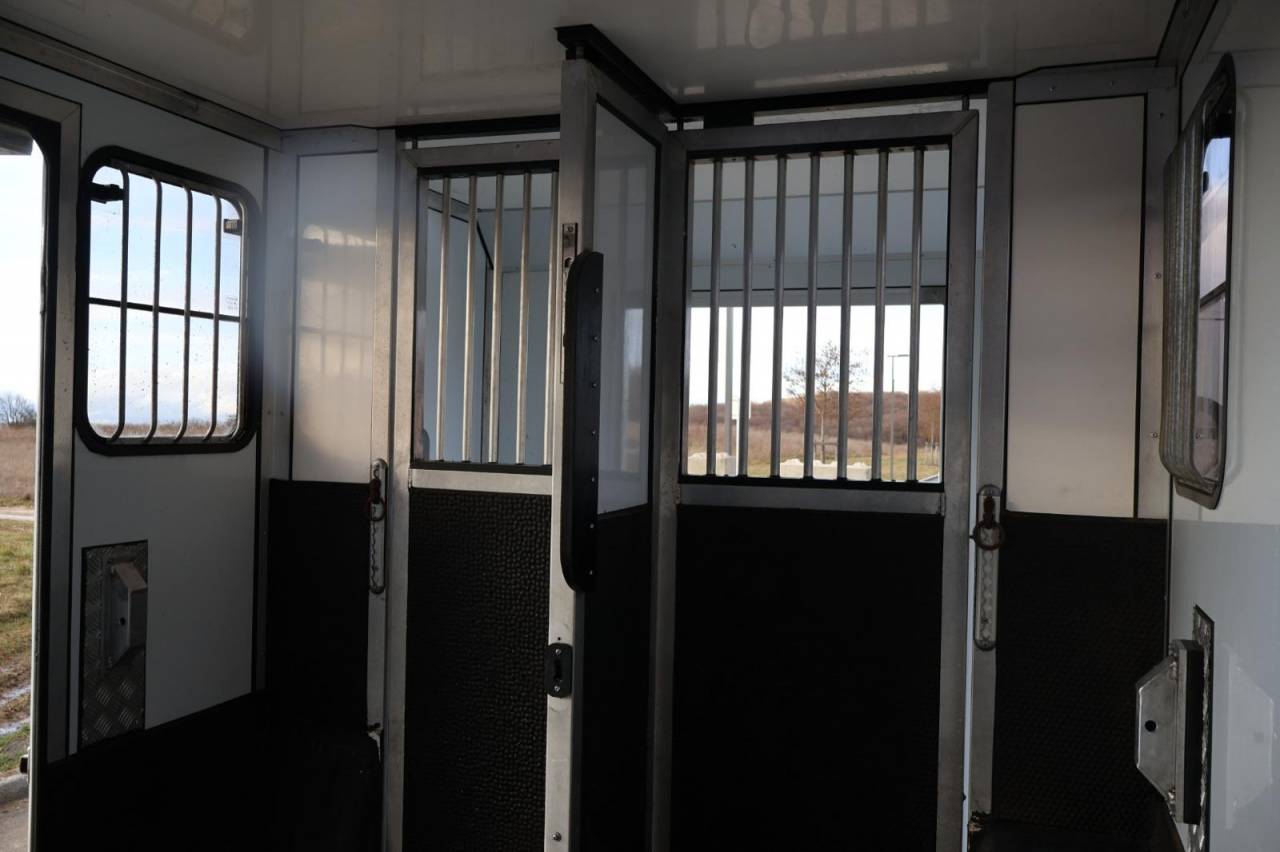 Furgoneta para caballos Cavalcar MASTER CAVALCAR 2022 De segunda mano