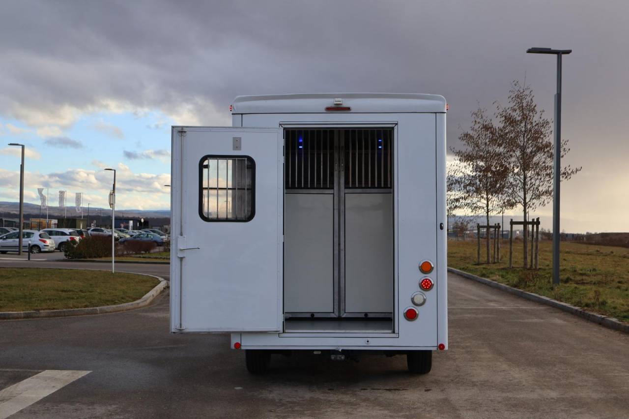 Furgoneta para caballos Cavalcar MASTER CAVALCAR 2022 De segunda mano