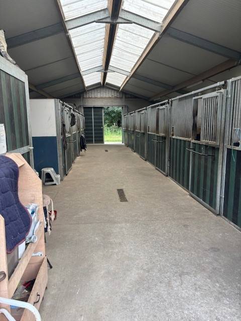 Cuadra de propietarios En venta Hainaut