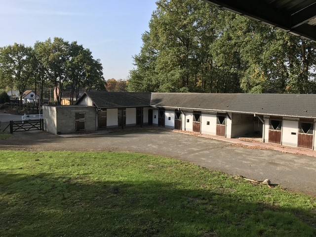 Cuadra de propietarios En venta Hainaut