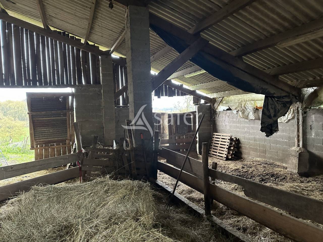 Explotaci&oacute;n ovina En venta Charente