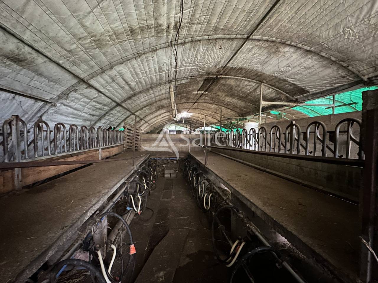 Explotaci&oacute;n ovina En venta Charente