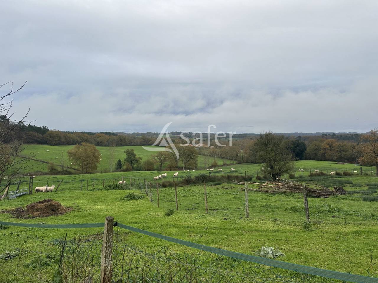 Explotaci&oacute;n ovina En venta Charente