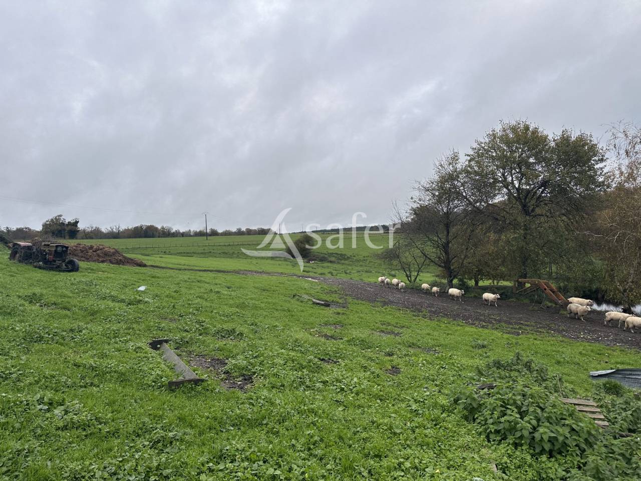 Explotaci&oacute;n ovina En venta Charente