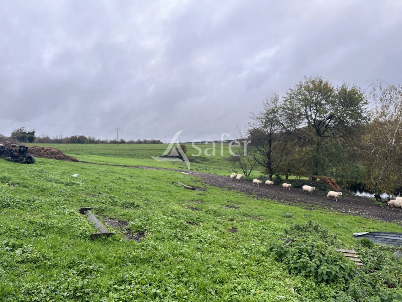 Explotaci&oacute;n ovina En venta Charente