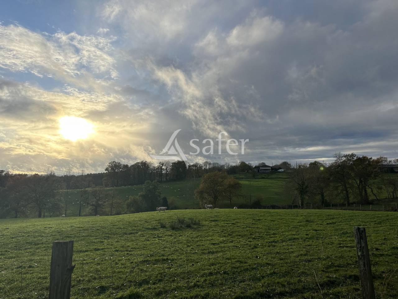 Explotaci&oacute;n ovina En venta Charente