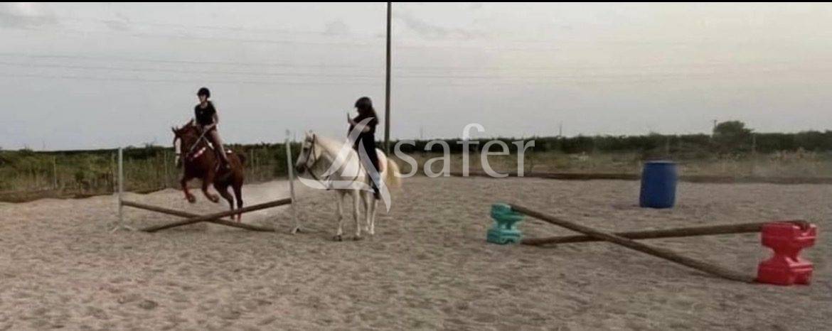 Propiedad rural En venta H&eacute;rault