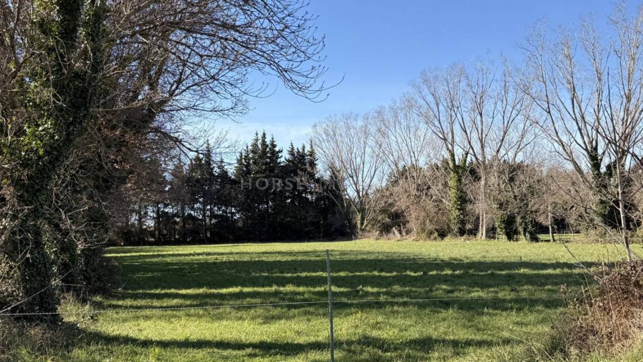 Propiedad ecuestre En venta Bocas del R&oacute;dano