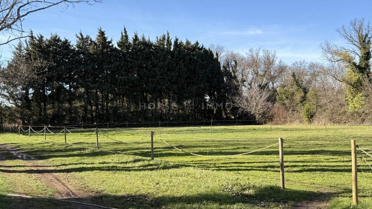 Propiedad ecuestre En venta Bocas del R&oacute;dano