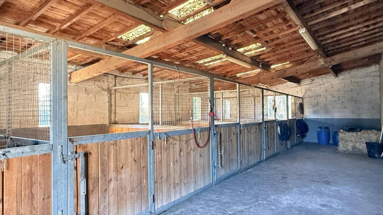 Propiedad ecuestre En venta Bocas del R&oacute;dano