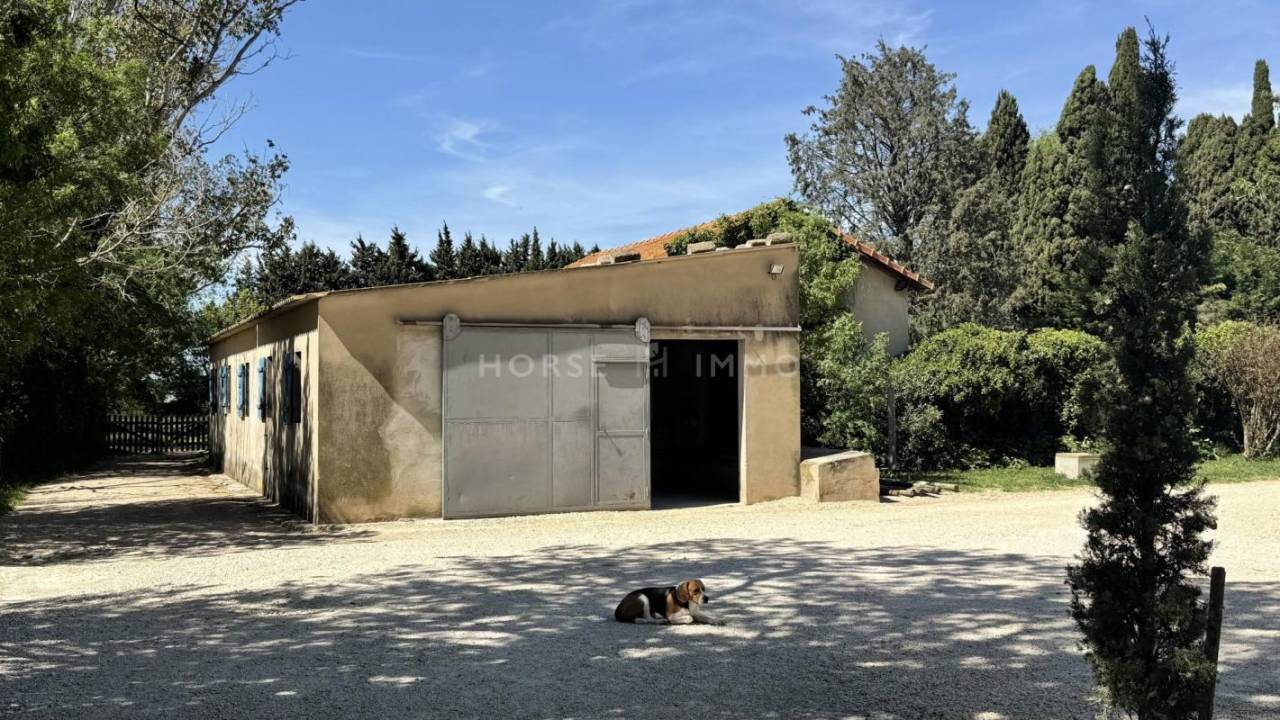 Propiedad ecuestre En venta Bocas del R&oacute;dano
