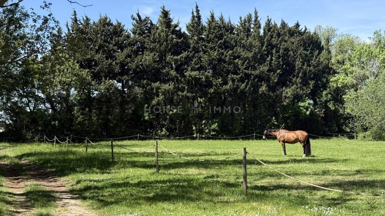 Propiedad ecuestre En venta Bocas del R&oacute;dano