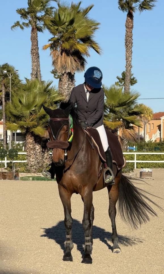 Yegua Silla Franc&eacute;s En venta 2018 Bayo moreno por Diego de Blondel