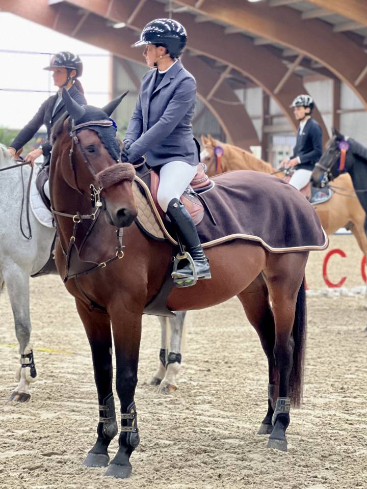 Yegua Silla Franc&eacute;s En venta 2018 Bayo moreno por Diego de Blondel