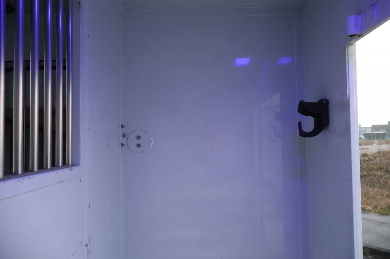 Furgoneta para caballos MTM FILOVAN MASTER  2016 De segunda mano