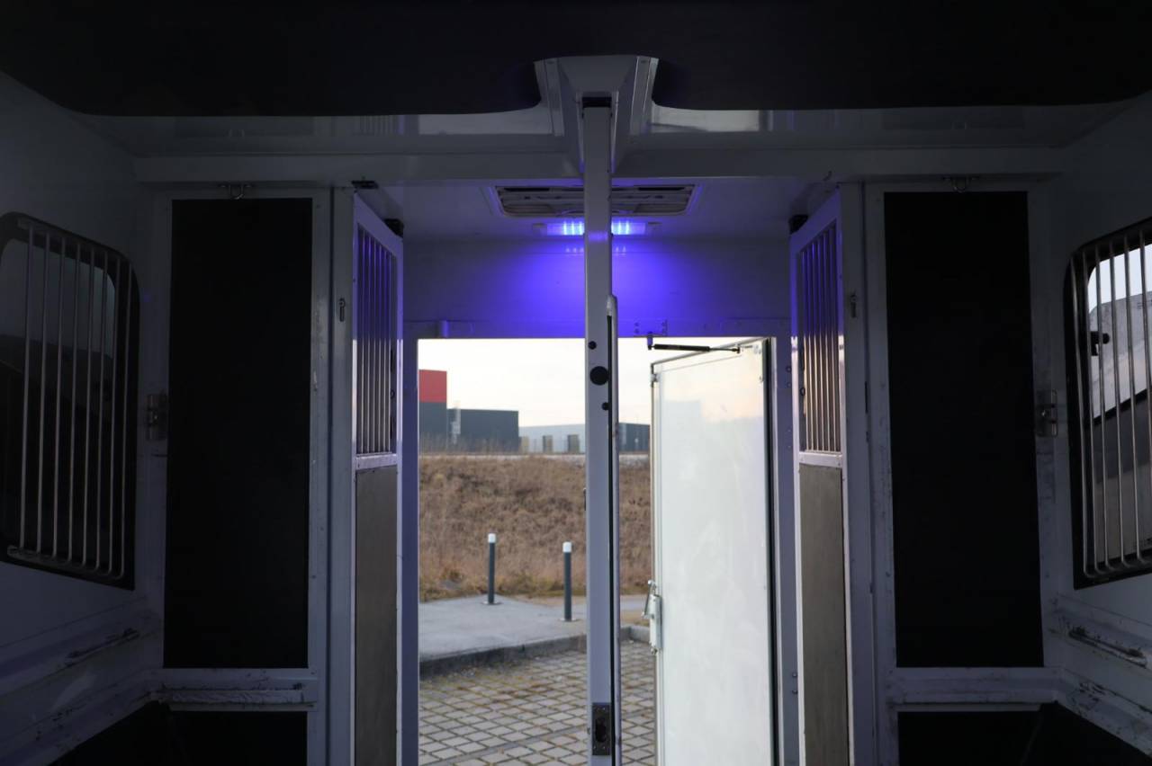 Furgoneta para caballos MTM FILOVAN MASTER  2016 De segunda mano