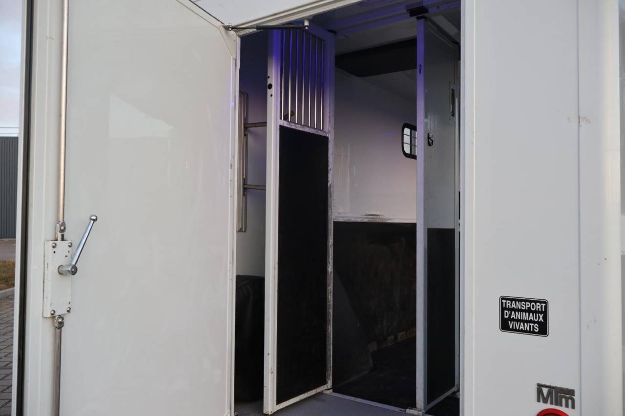 Furgoneta para caballos MTM FILOVAN MASTER  2016 De segunda mano