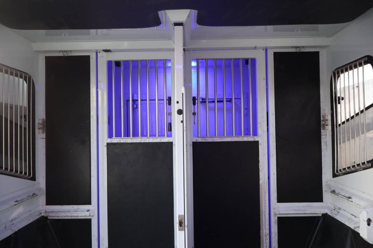 Furgoneta para caballos MTM FILOVAN MASTER  2016 De segunda mano