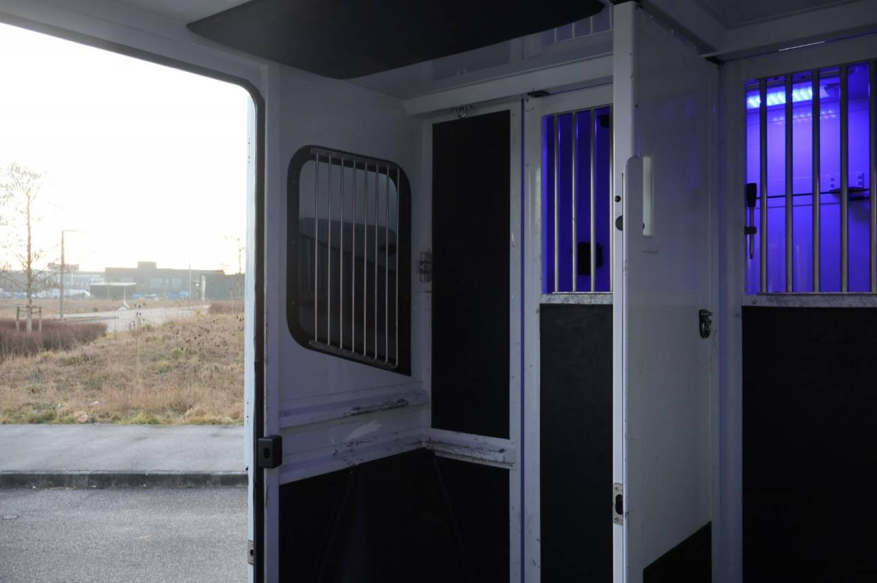 Furgoneta para caballos MTM FILOVAN MASTER  2016 De segunda mano