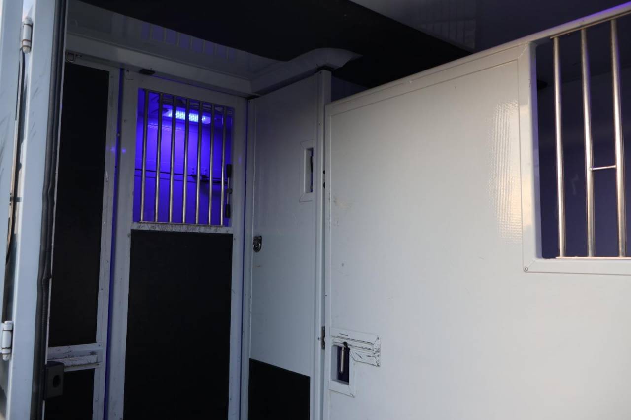 Furgoneta para caballos MTM FILOVAN MASTER  2016 De segunda mano