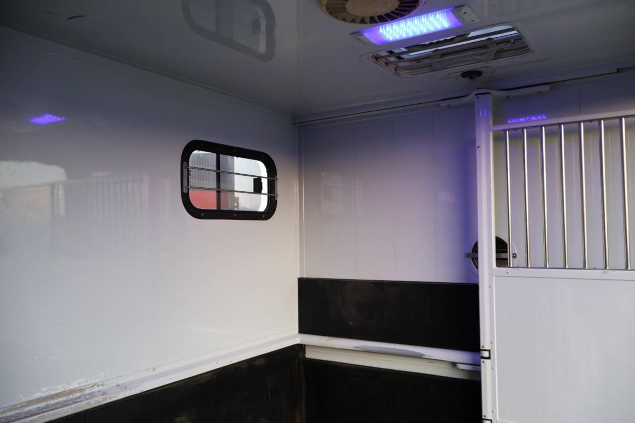 Furgoneta para caballos MTM FILOVAN MASTER  2016 De segunda mano