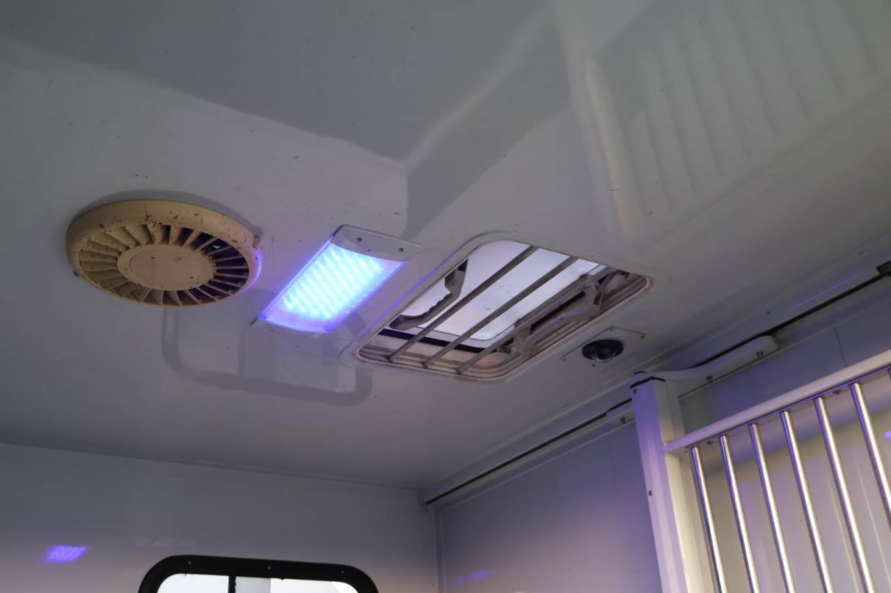 Furgoneta para caballos MTM FILOVAN MASTER  2016 De segunda mano