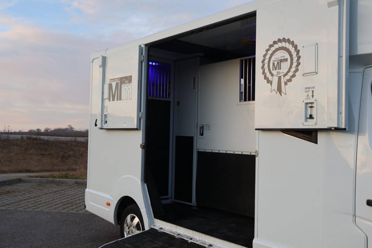 Furgoneta para caballos MTM FILOVAN MASTER  2016 De segunda mano