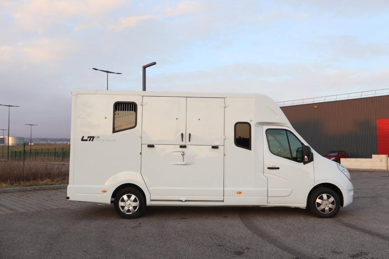 Furgoneta para caballos MTM FILOVAN MASTER  2016 De segunda mano