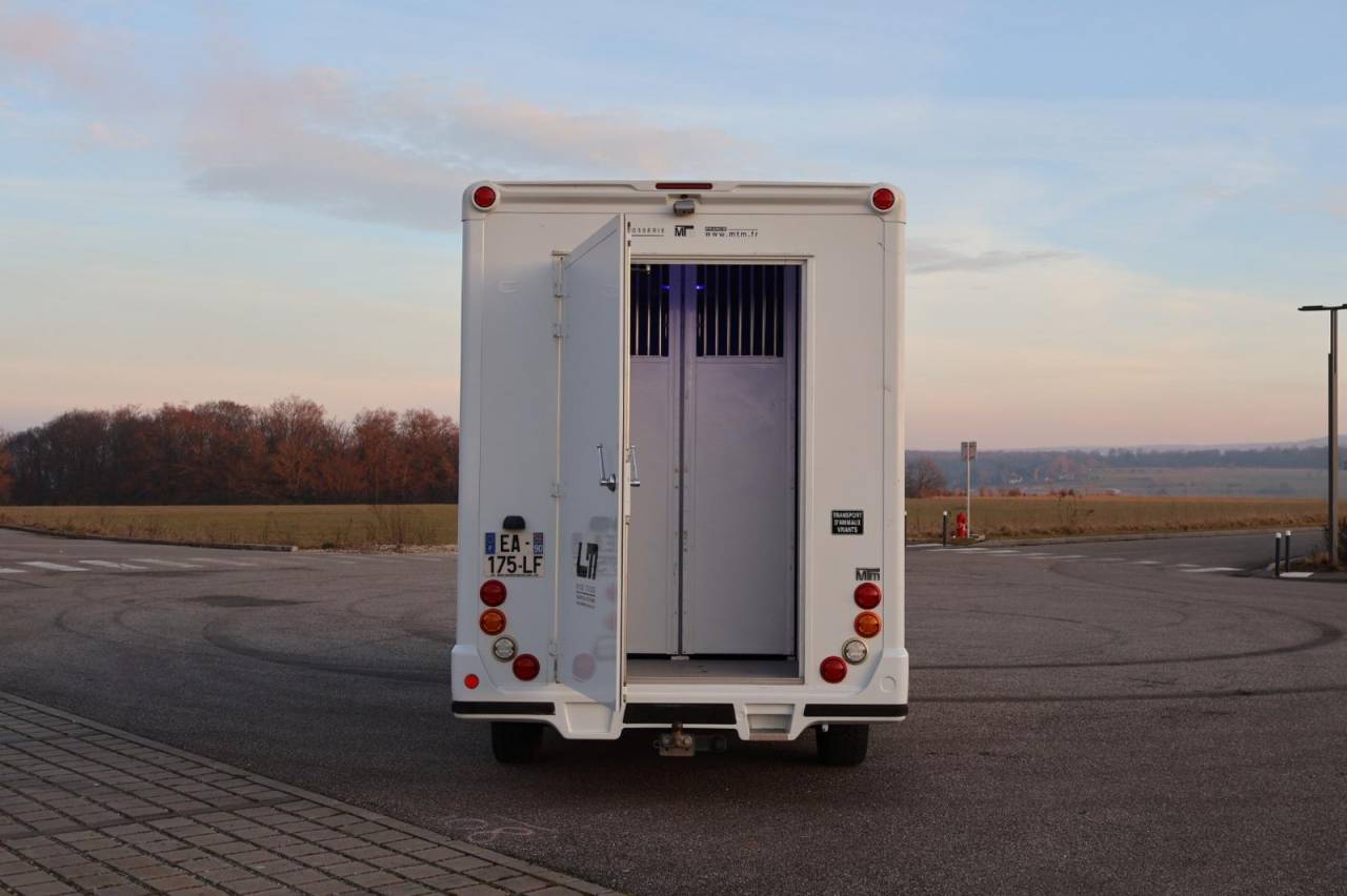 Furgoneta para caballos MTM FILOVAN MASTER  2016 De segunda mano