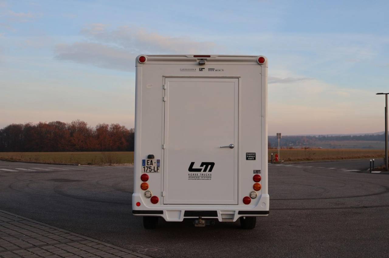 Furgoneta para caballos MTM FILOVAN MASTER  2016 De segunda mano