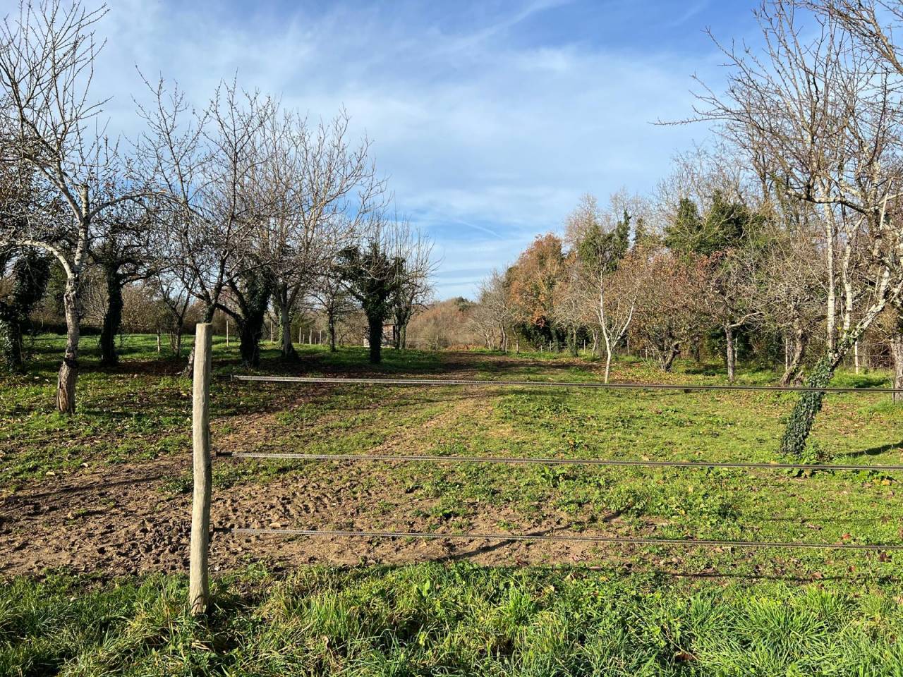 Propiedad ecuestre En venta Charente